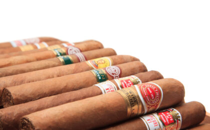 Campo di tabacco Kentucky per la produzione di sigari Toscano
