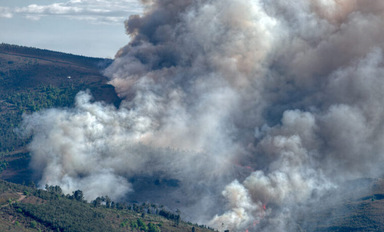 Incendio boschivo in Gironda