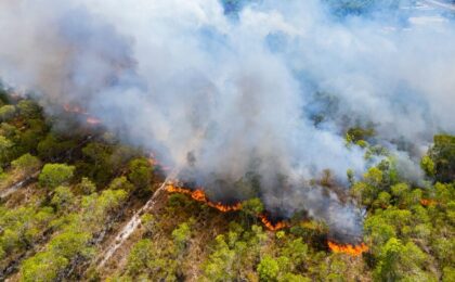 Incendio boschivo in Italia