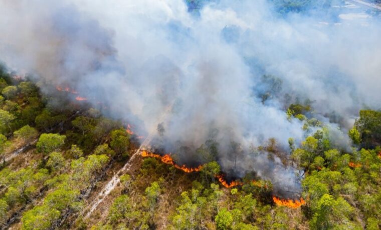 Incendio boschivo in Italia