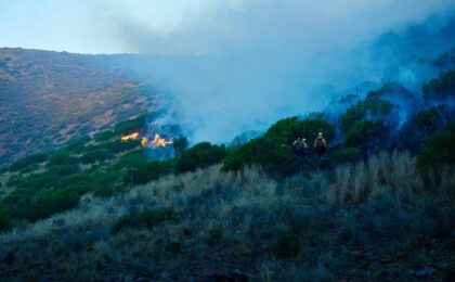 Vigili del Fuoco in azione contro gli incendi a Palermo