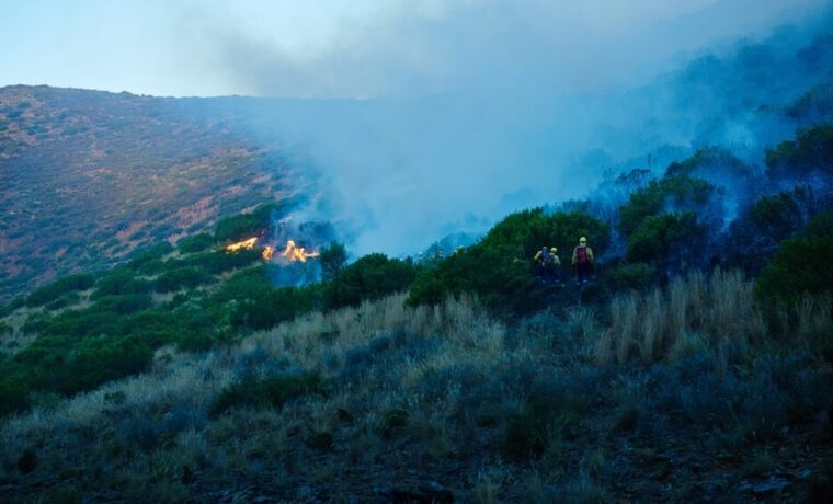 Vigili del Fuoco in azione contro gli incendi a Palermo