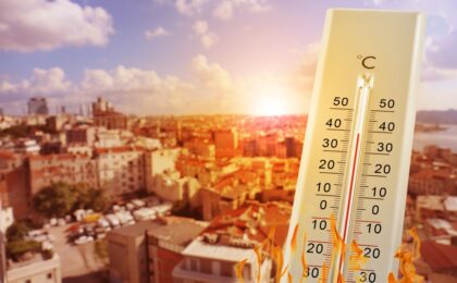 Simulazione di riforestazione urbana per ridurre le isole di calore