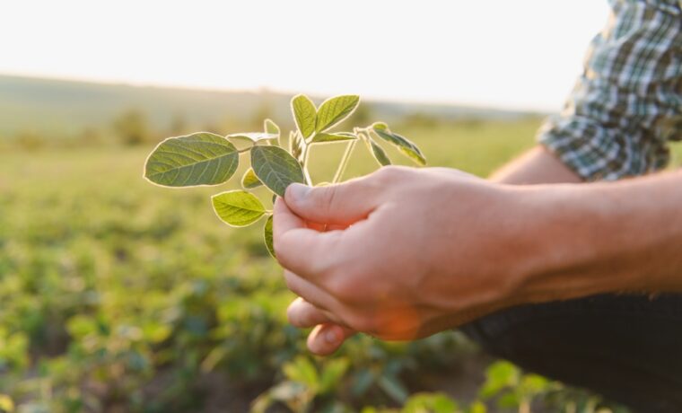 Investimento nel settore FoodTech