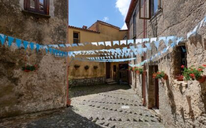 Processione digitale a Bosco con schermo al posto del santo