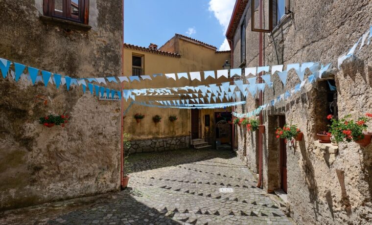 Processione digitale a Bosco con schermo al posto del santo