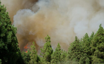 Incendio in Gironda, Francia