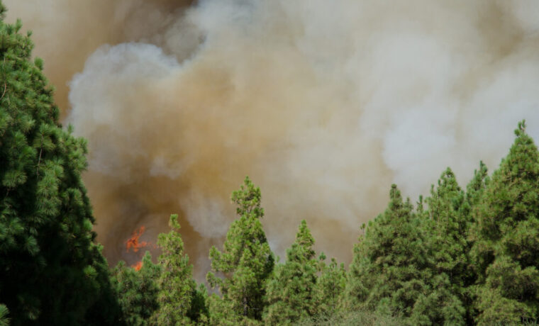 Incendio in Gironda, Francia